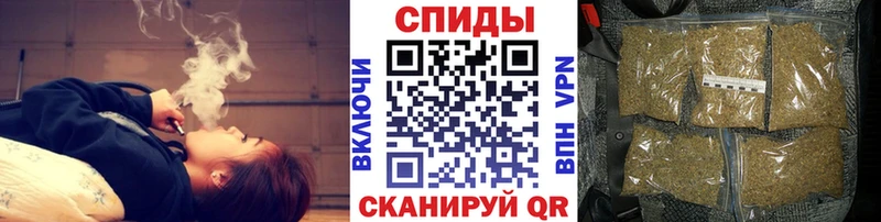 как найти   Черкесск  БУТИРАТ оксана 
