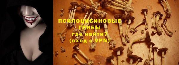 ПСИЛОЦИБИНОВЫЕ ГРИБЫ Покачи