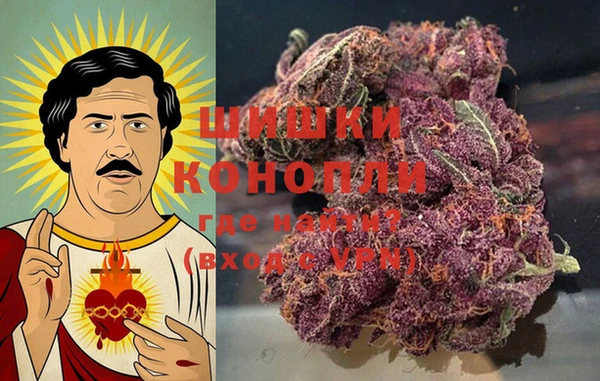 ПСИЛОЦИБИНОВЫЕ ГРИБЫ Покачи