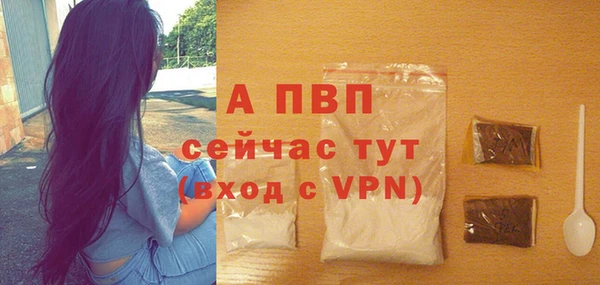 ПСИЛОЦИБИНОВЫЕ ГРИБЫ Покачи