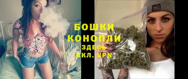 ECSTASY Покров