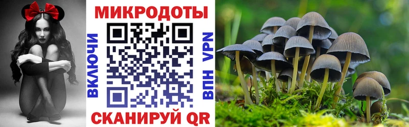 Галлюциногенные грибы Psilocybe  магазин    Черкесск 