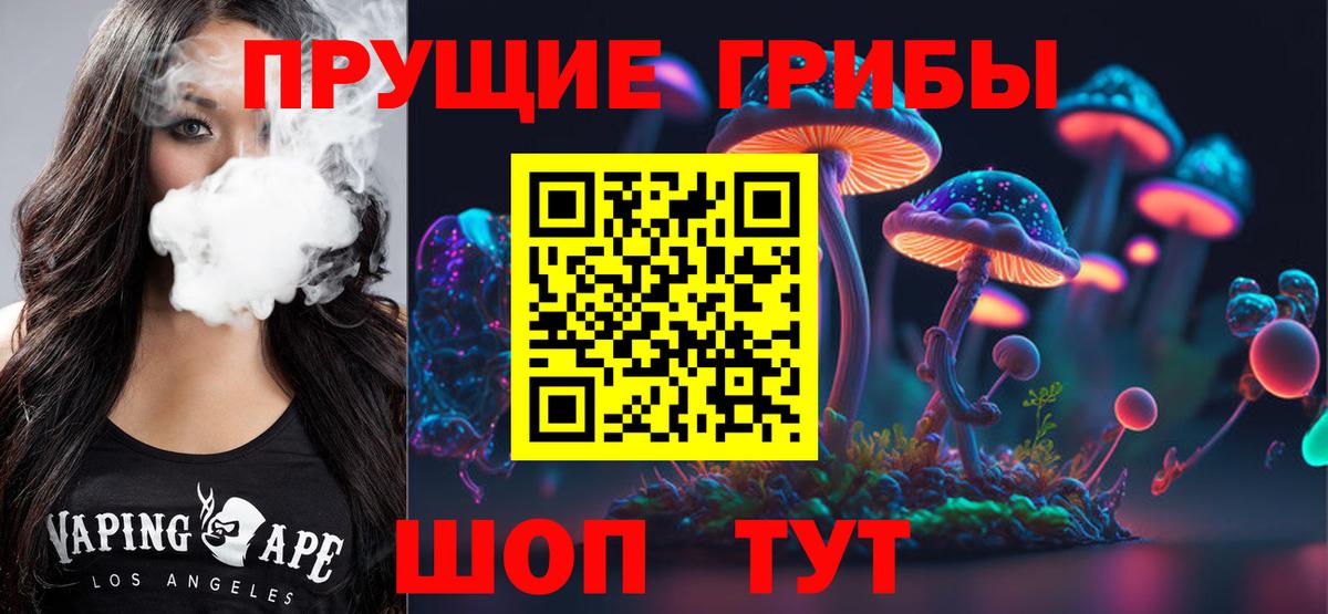 Черкесск  Галлюциногенные грибы Psilocybe  Вход с VPN 